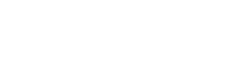 Netvisor Logo